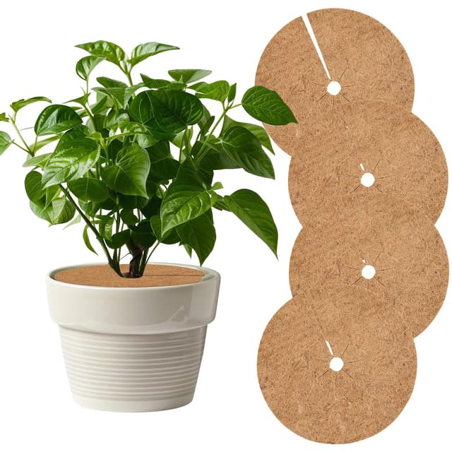🌿🌼 Sinirttou 4 Stück 30cm Kokosmatte Winterschutz 🌼🌿