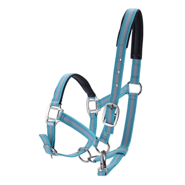 Gallopoff Halfter für Pferde 🐎 Verdickter Verstellbarer Halfter 🌟 Langlebig und Reißfest Pony Blau