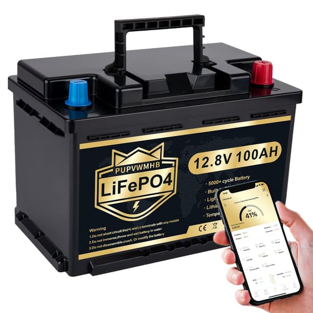 PUPVWMHB LiFePO4 12V 100AH Autobatterie mit Bluetooth 100A BMS