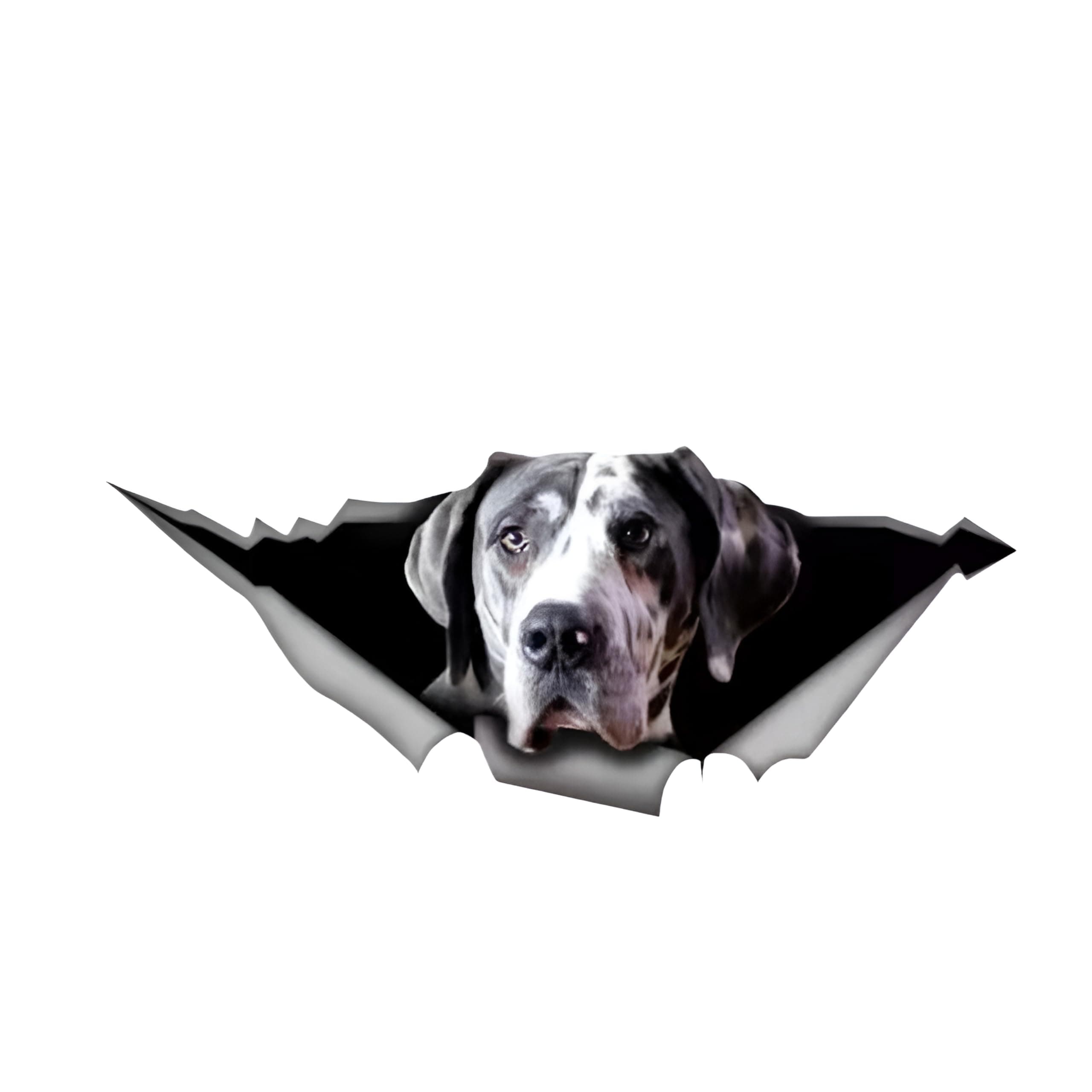 🐶 Autoaufkleber Great Dane Aufkleber 15cm(5.9 Inch) Deutsche Dogge 🚗