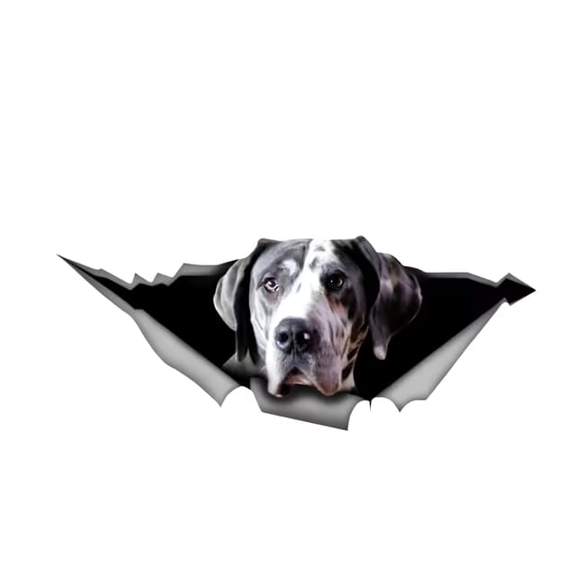 🐶 Autoaufkleber Great Dane Aufkleber 15cm(5.9 Inch) Deutsche Dogge 🚗