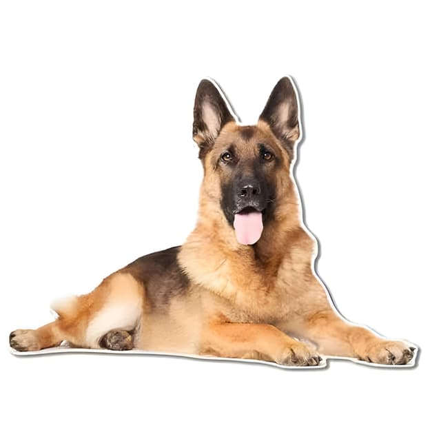 🐶🚗 Belgische Malinois Autoaufkleber 3D Zerrissen Reflektierende Aufkleber