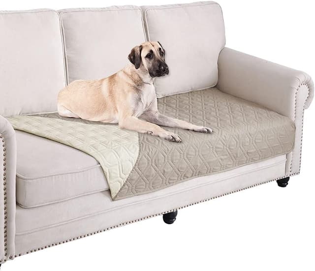 Angebot: GYURO 100% wasserdichte Hundedecke in Khaki 102*150CM 🐶🚀
