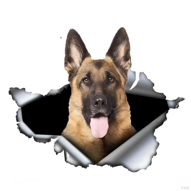 Autoaufkleber Deutscher Schäferhund 22cm 🐾 Wasserdicht & Reflektierend