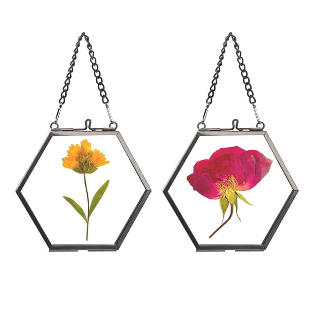 🖼️ SUMTree 2 Pcs Mini-Hexagon Bilderrahmen aus Metall und Glas