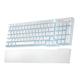 RK ROYAL KLUDGE RK96 90% Triple Mode BT5.0/2.4G/USB-C Hot Swappable Mechanische Tastatur 🌟