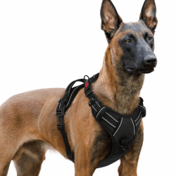 🐶🐾 Rabbitgoo Hundegeschirr für große Hunde - Verstellbar und Sicher