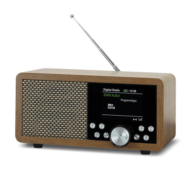 Dynavox DBT600 DAB+ Radio 📻🔊