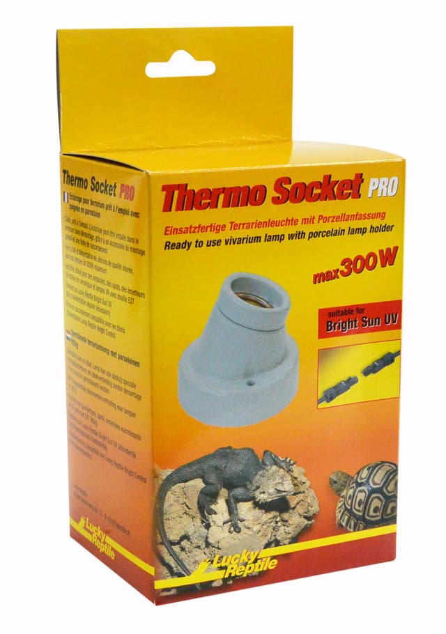 🦎🔆 Angebots-Deal: Lucky Reptile Thermo Socket PRO 🐍🌟