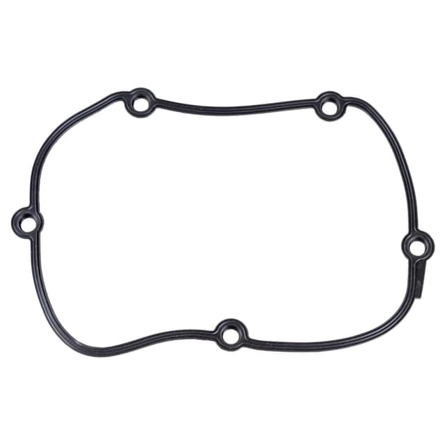 Angebot: febi bilstein 170573 Dichtung für Steuerdeckel, 1 Stück ⚙️🔧