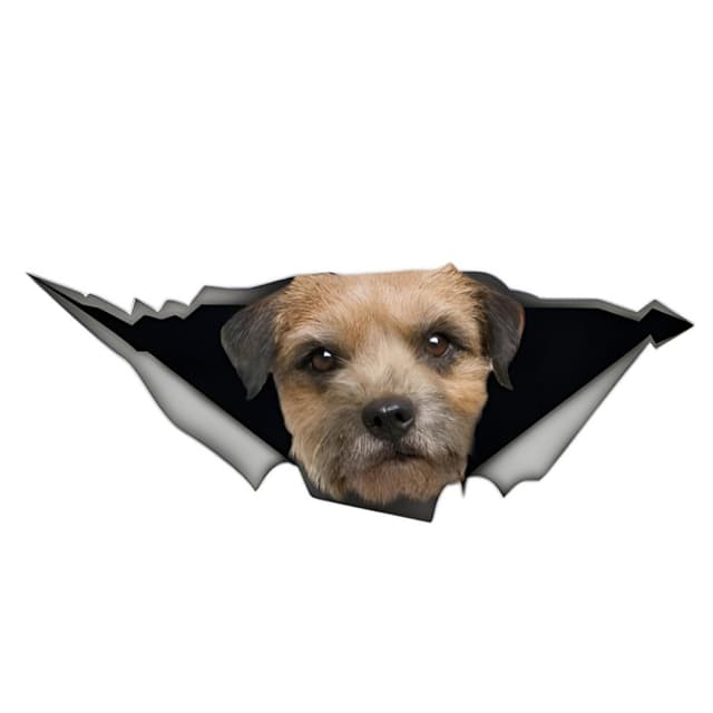 Border Terrier Autoaufkleber - Lustige 3D Zerrissen Aufkleber
