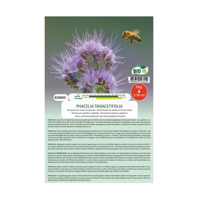 🌼🐝 Bio Bienenfreund Phacelia 50g - Top Angebot! 🌱