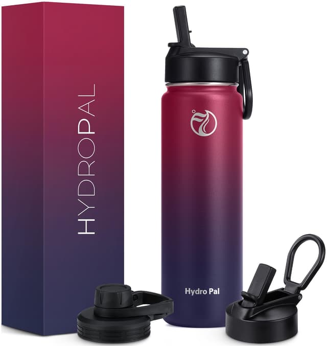 HydroPal Edelstahl Trinkflasche - BPA-frei, Isolierte Flasche mit Strohhalm & 2 Deckel