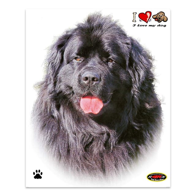 🐶 4R Quattroerre.it 8004 Aufkleber Hund Neufundländer 🚗🏍️