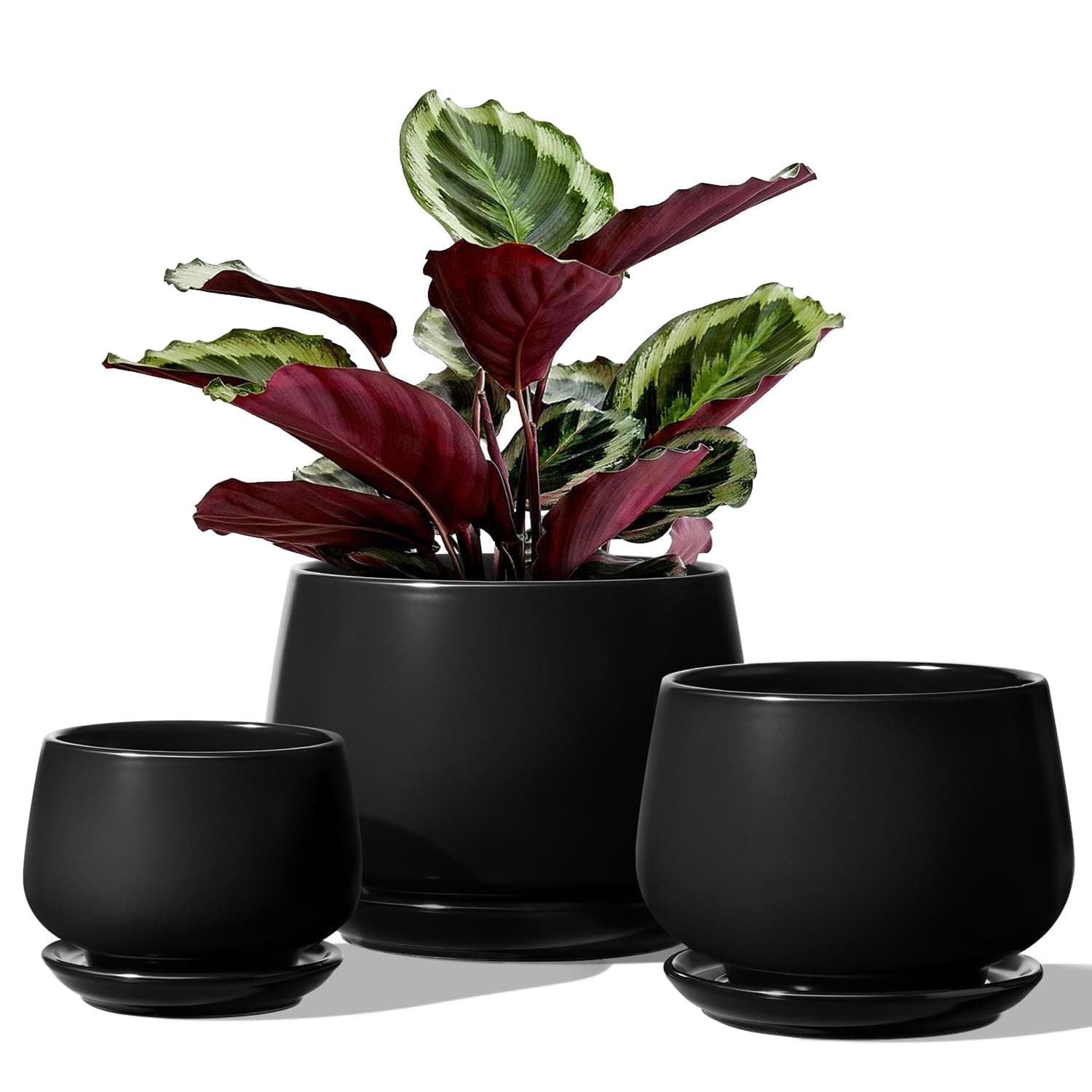 LE TAUCI 3er Set Keramik Blumentöpfe 🌿🌺🏡 Modernes Design