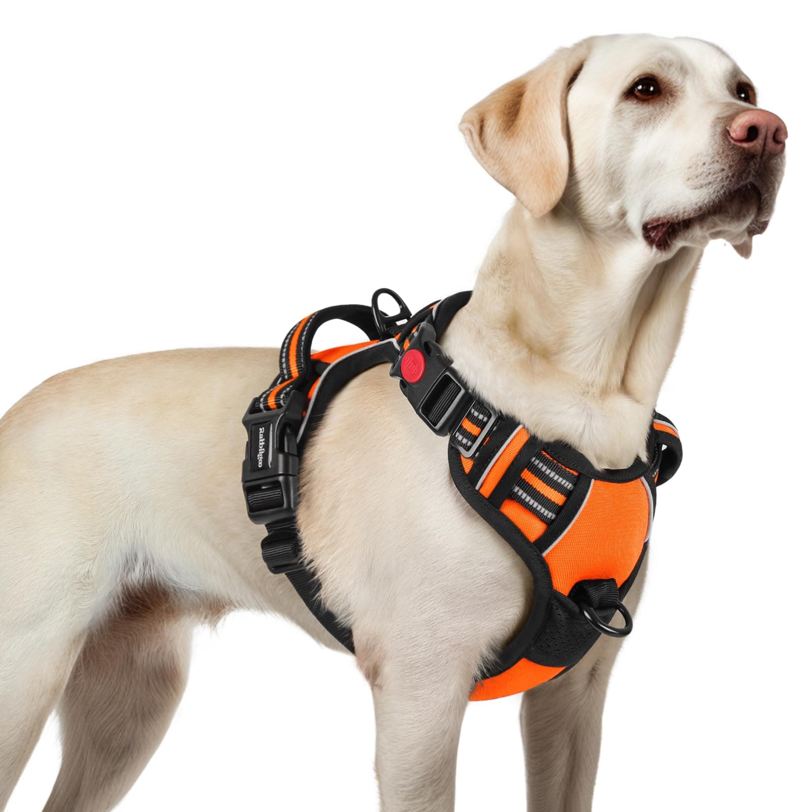 🐶🔶 Angebot: rabbitgoo Hundegeschirr für Große Hunde - Orange L (1er Pack)