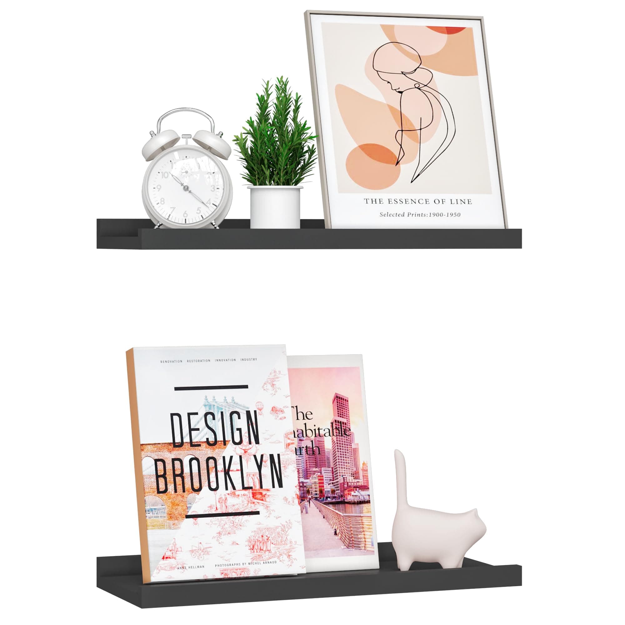BONTEC 2er Set Schwimmende Wandregale 📚🌿🖼️