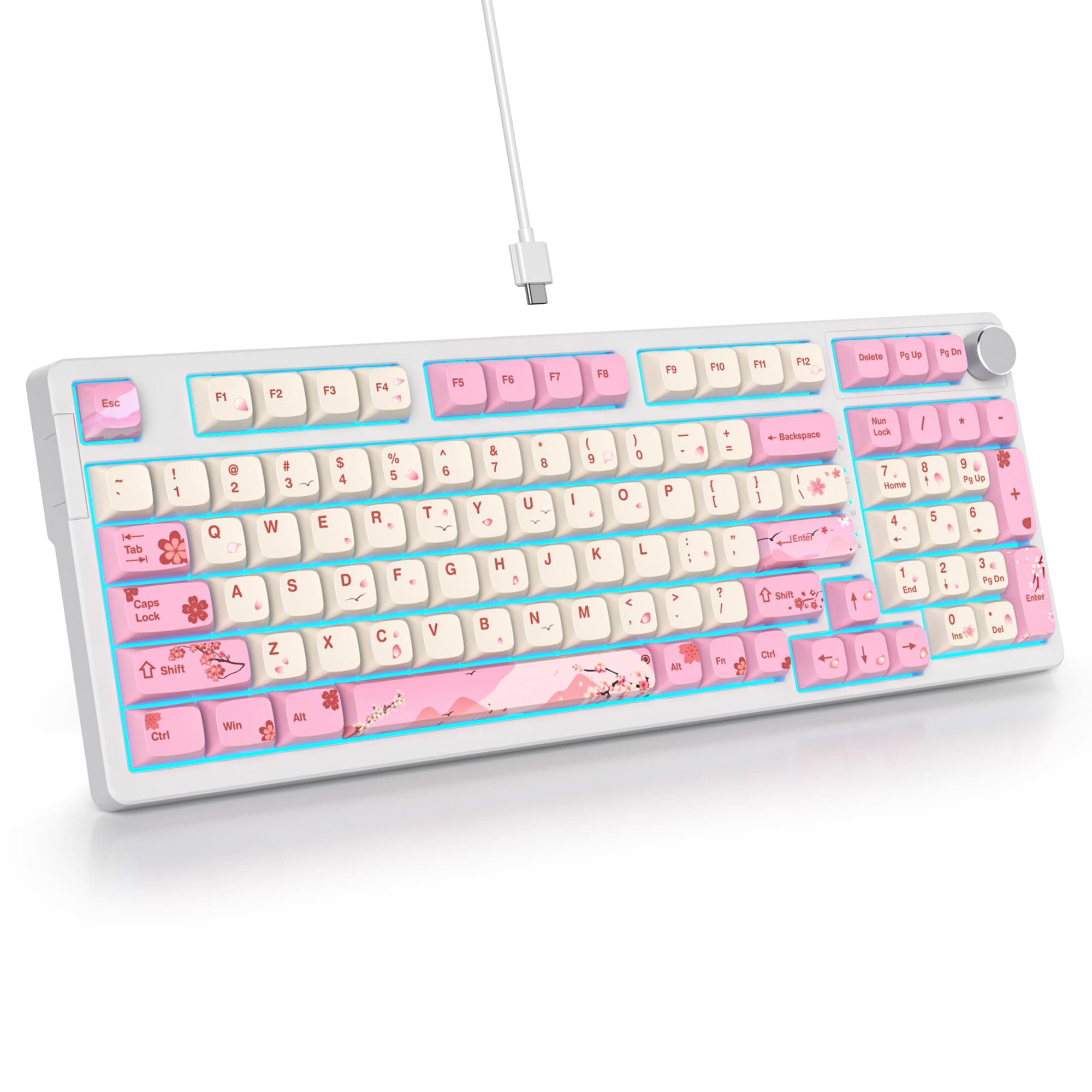SOLIDEE Verkabelte 95% Mechanische Gaming-Tastatur - Hot-Swap-Fähige Tastatur