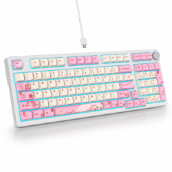 SOLIDEE Verkabelte 95% Mechanische Gaming-Tastatur - Hot-Swap-Fähige Tastatur