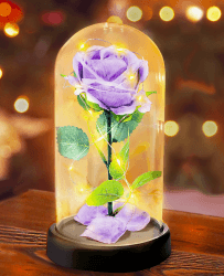 Touloube Geschenke für Frauen - Premium Rose Blume Geschenk 🌹