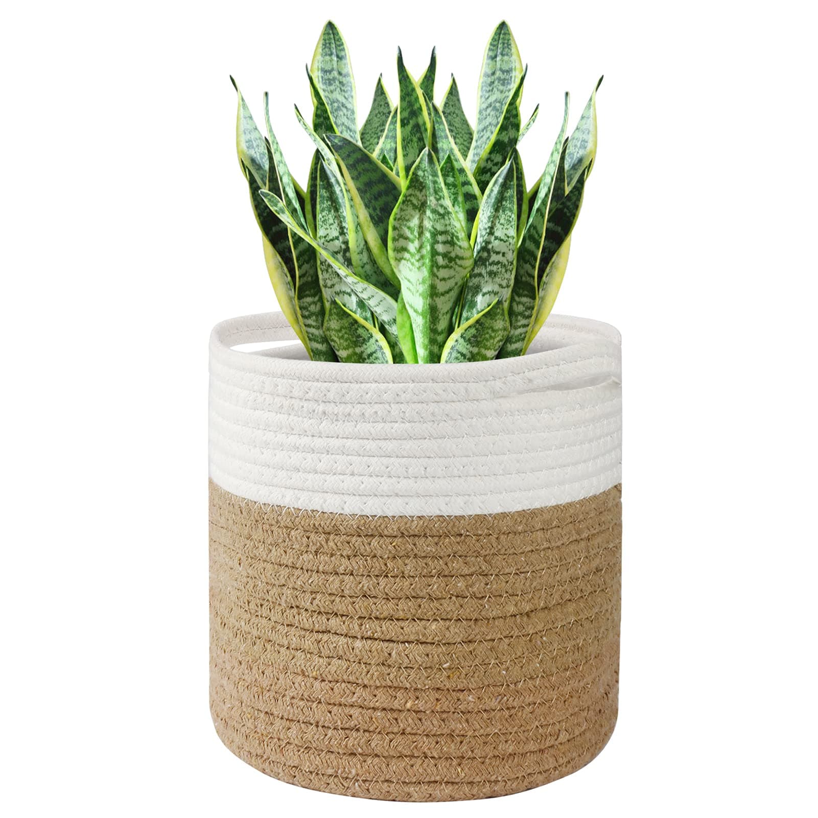 Tenn Well 30 cm Blumentopf 🌿🌼🏡