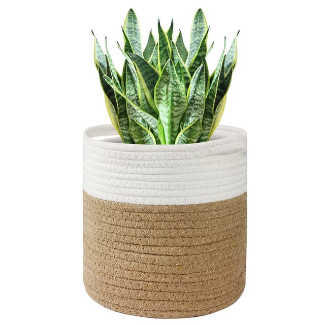 Tenn Well 30 cm Blumentopf 🌿🌼🏡