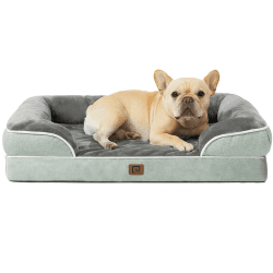 🐶🛋️ EHEYCIGA Orthopädisches Hundebett für kleine und mittelgroße Hunde