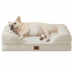 🐶 EHEYCIGA Orthopädisches Hundebett für Kleine und Mittelgroße Hunde 🐾