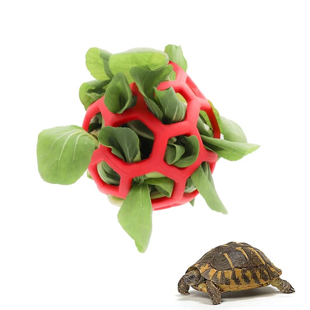 🐢🎾 LODCZIOE Schildkröte Leckerli-Ball Spielzeug 🌿🥕🍎