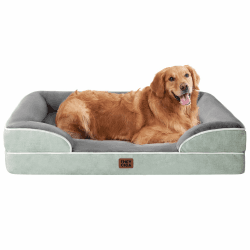 🐶 EHEYCIGA Orthopädisches Hundebett Grosse Hunde, 104x69x15cm, Memory Foam Hundekorb Mittelgroße Hunde 🐾