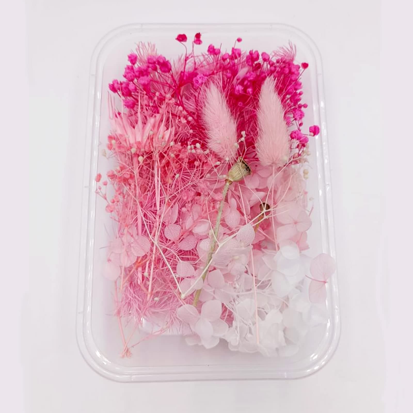 YiYFiT Natürliche getrocknete Blumen,8 Arten echte getrocknete Blumen Blätter DIY Handwerk Sträuße Materialien