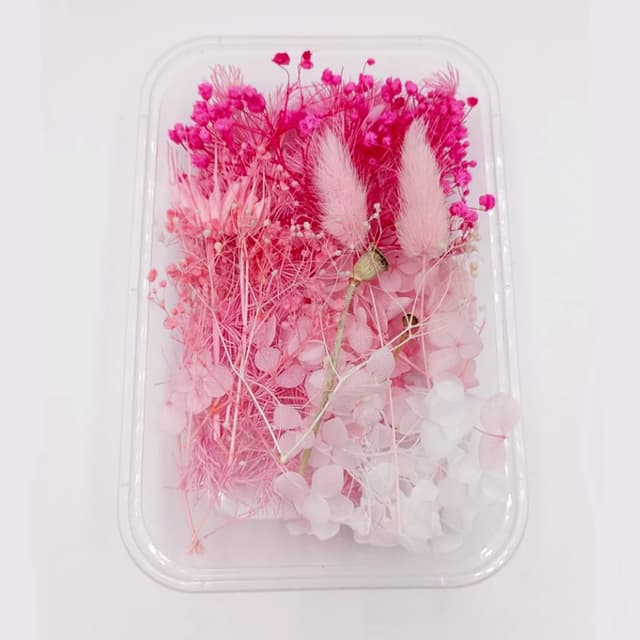 YiYFiT Natürliche getrocknete Blumen,8 Arten echte getrocknete Blumen Blätter DIY Handwerk Sträuße Materialien