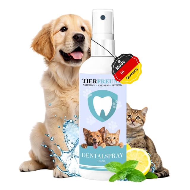 Dentalspray für Hunde & Katzen 🐕🐈