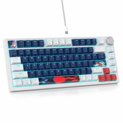 SOLIDEE Verkabelte 75% Mechanische Gaming-Tastatur mit Gasket Struktur ✨🎮