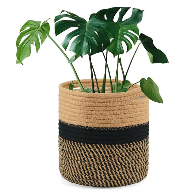 Tenn Well 20 cm Indoor-Topf für Pflanzen mit Einsatz 🌿🏡