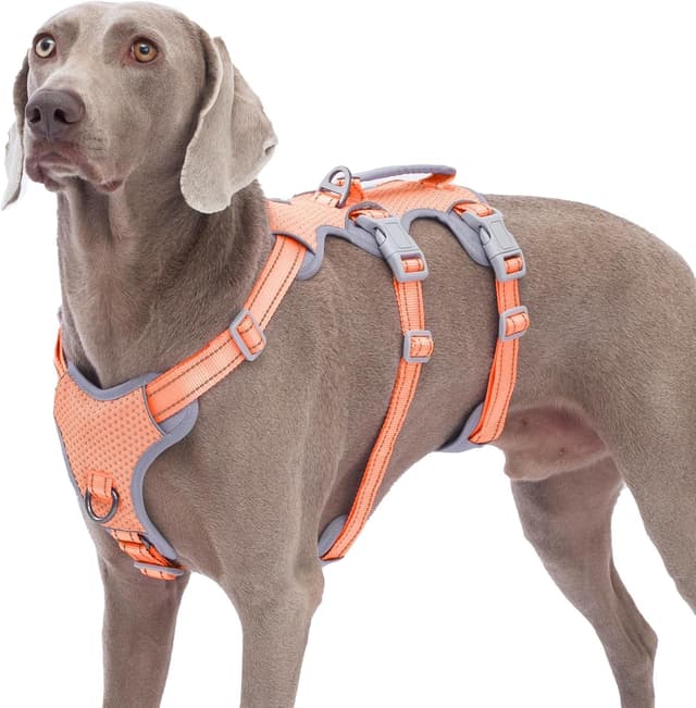 🐾 Huntboo Sicherheitsgeschirr Hund - Ausbruchsicher & Reflektierend! 🌟