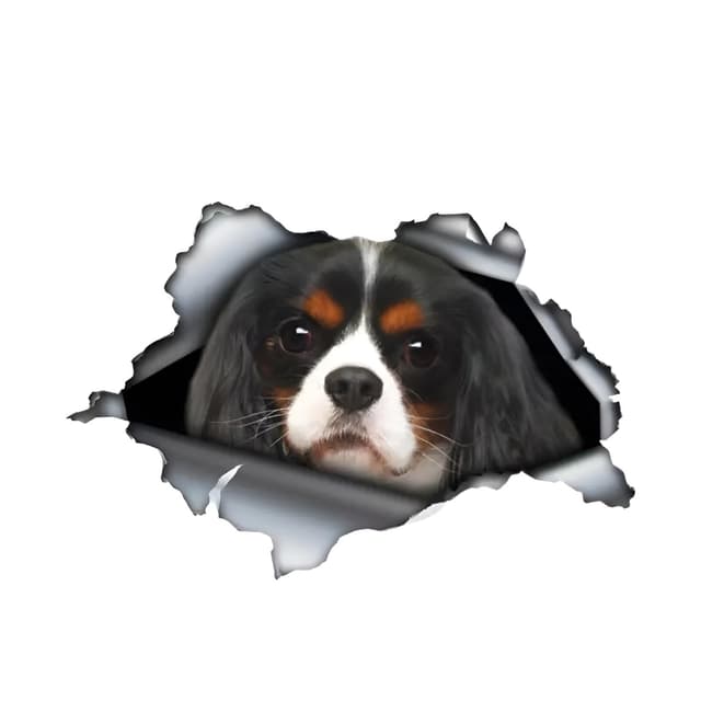 🐶🚗 Autoaufkleber Cavalier King Charles Spaniel 15cm - Personalisierter Hundeaufkleber