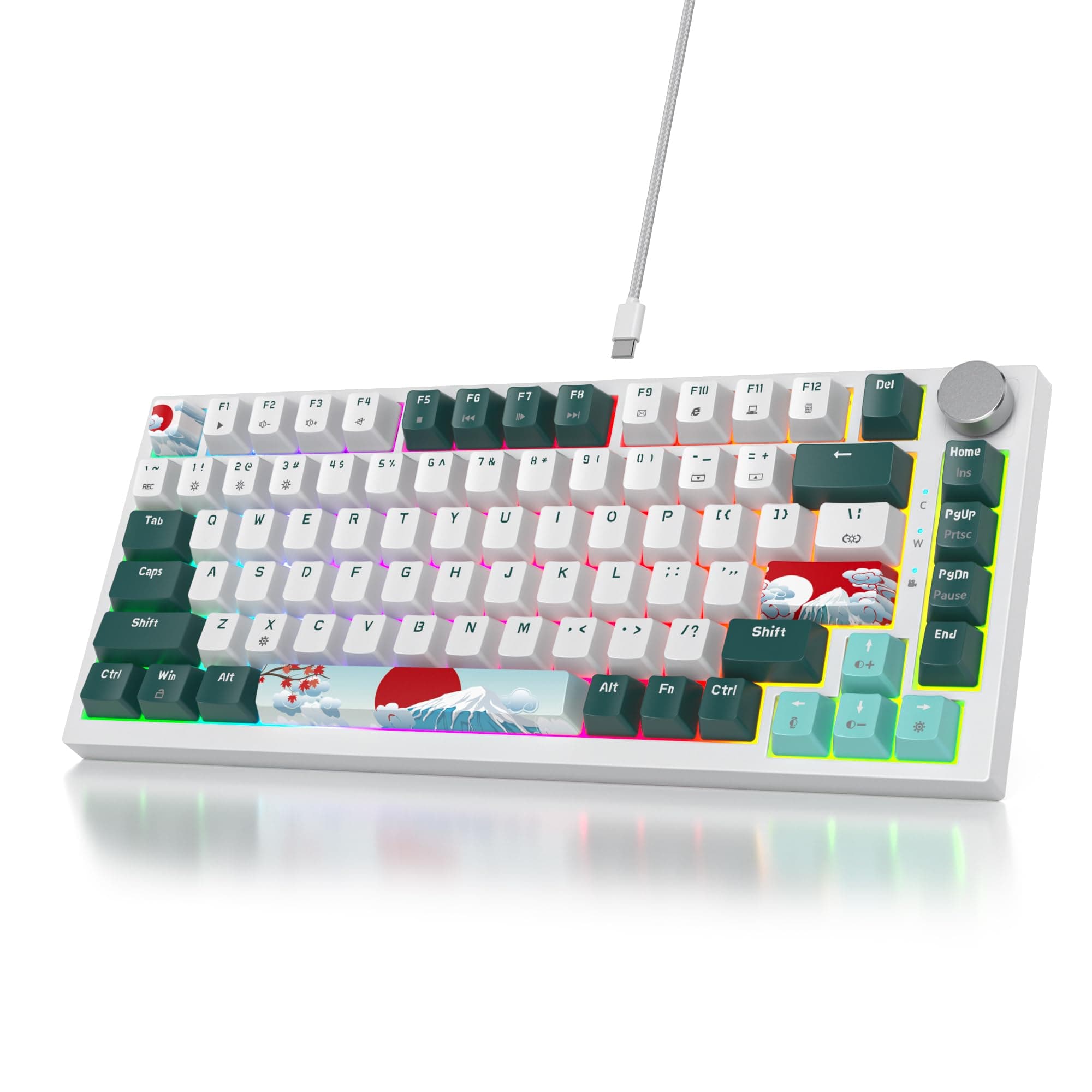 SOLIDEE Verkabelte Mechanische Gaming Tastatur 75% | 82 Forest/Red Switch