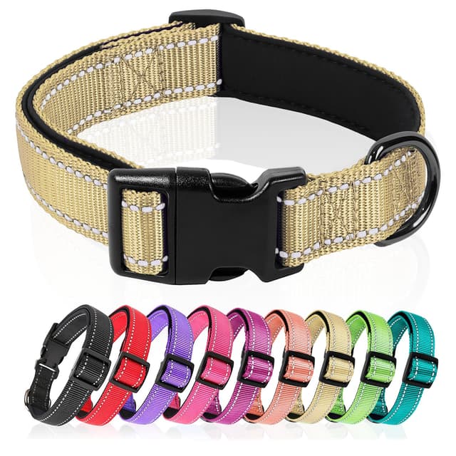 🐾 Hundehalsband aus Nylon mit Neopren Gepolstert | Sandbraun | M