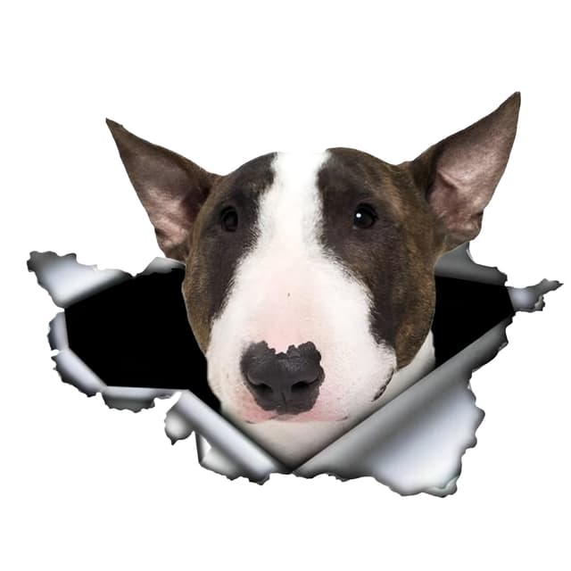 🐶 Autoaufkleber Bullterrier 3D Zerrissen Reflektierend