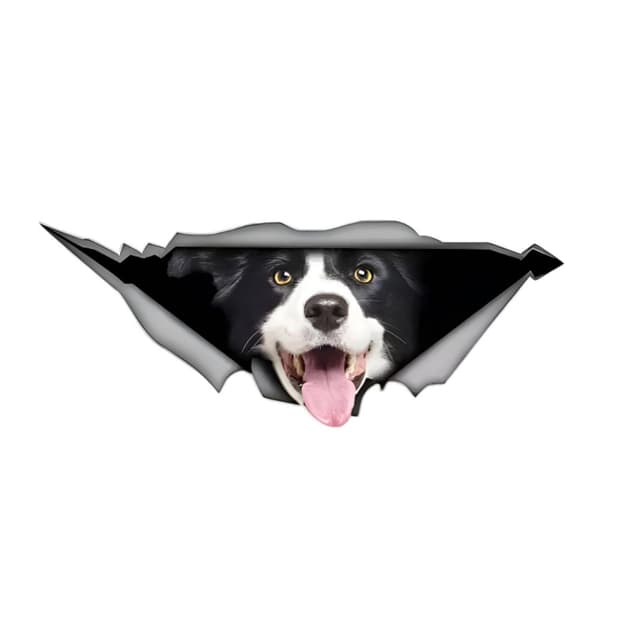 🐶 Border Collie Autoaufkleber 3D Zerrissen Reflektierend - Wasserdicht