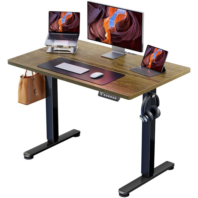 🌟 ErGear Elektrisch Höhenverstellbarer Schreibtisch 100 x 60 cm 🌟