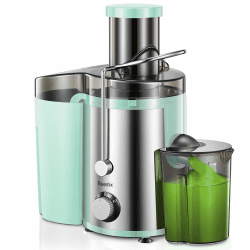 Reemix Entsafter Gemüse und Obst, Max Juicer Machine aus Edelstahl 🍹✨