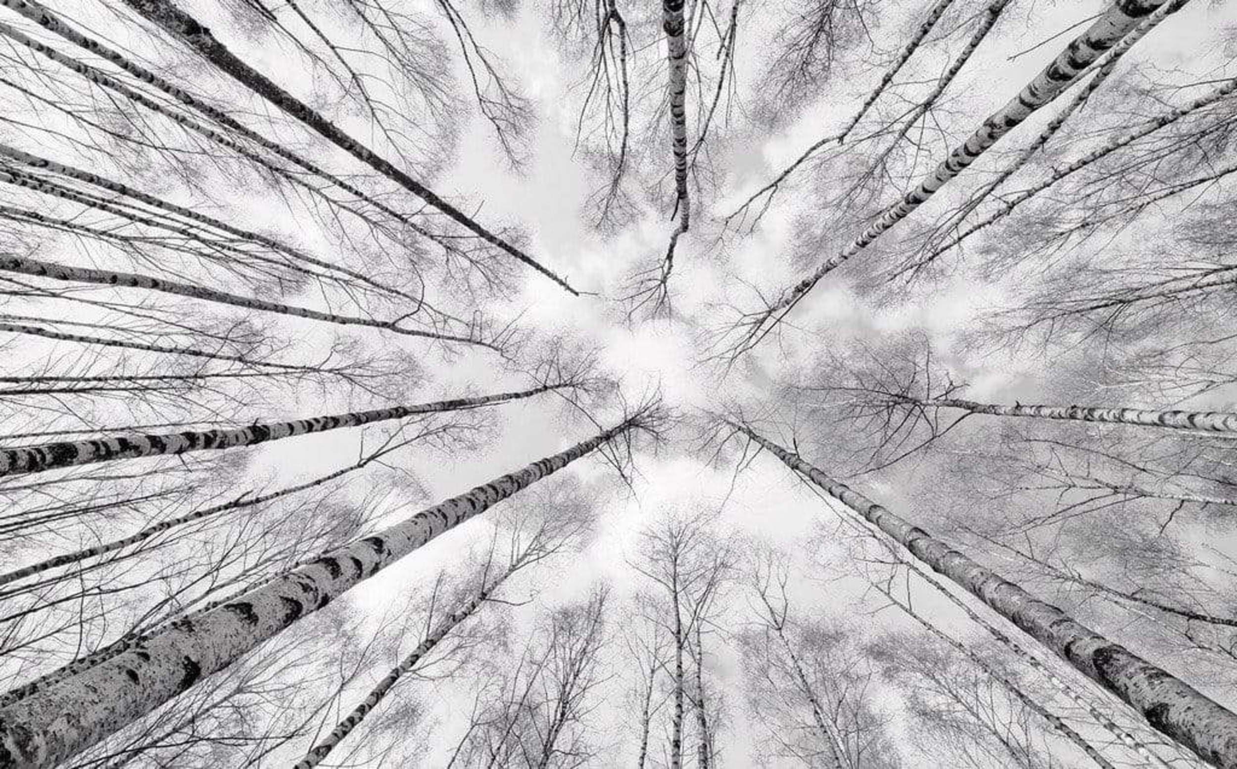 Komar Vlies Fototapete WEISS-BLAU | XXL Dekoration 🌿🏞️ | Größe 450 x 280 cm | SHX9-093
