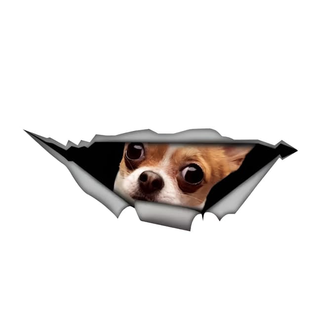 🐕 Autoaufkleber 25cm Chihuahua Aufkleber Lustig Chihuahua Dog Peeking Car Sticker