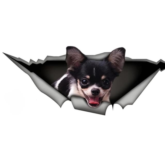 Autoaufkleber 25cm Chihuahua Personalisieren Aufkleber 🐶