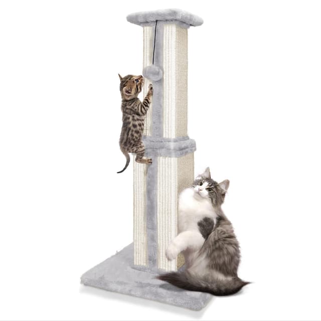 🐱🌿 Großer Katzenkratzbaum 80 cm mit Sisalseil und Plüschball - Weiß