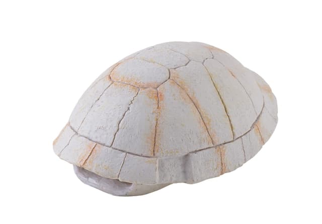 🐢🦴 Exo Terra Tortoise Skeleton - Sicheres Versteck für Reptilien und Amphibien!
