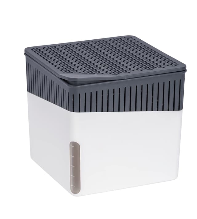 🌿🌬️ WENKO Raumentfeuchter Mod. Cube, Luftentfeuchter reduziert Schimmel & Gerüche 🌬️🌿