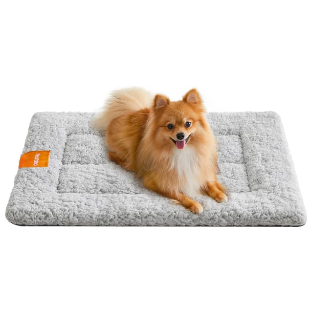 🐶 Feandrea Hundedecke für Hunde und Katzen, 60 x 45 cm, S, hellgrau - Angebot